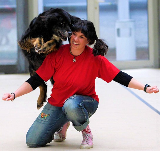 Doggi Fun 10