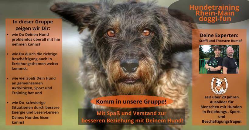 FB DoggiFun