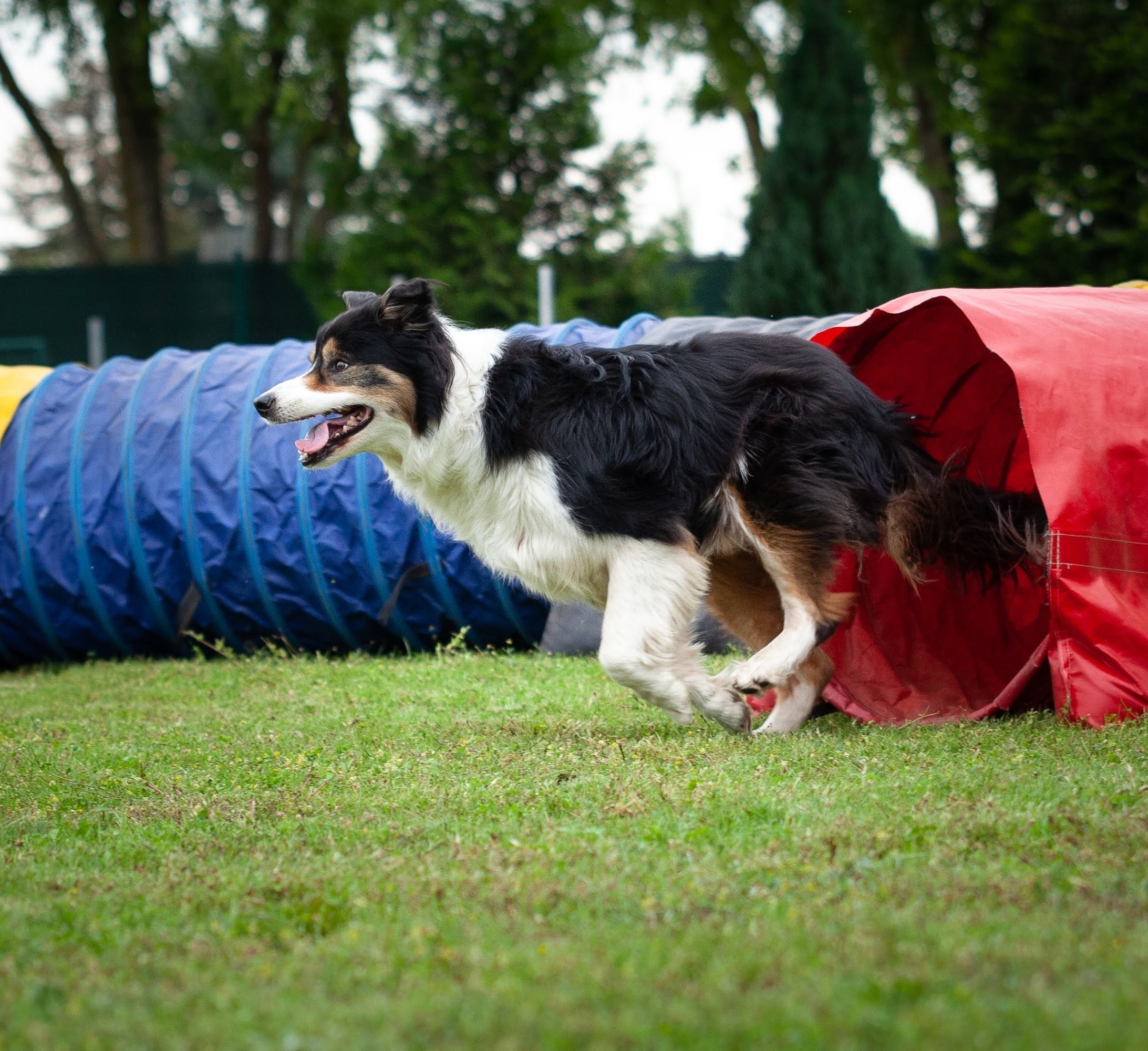 Agility 10
