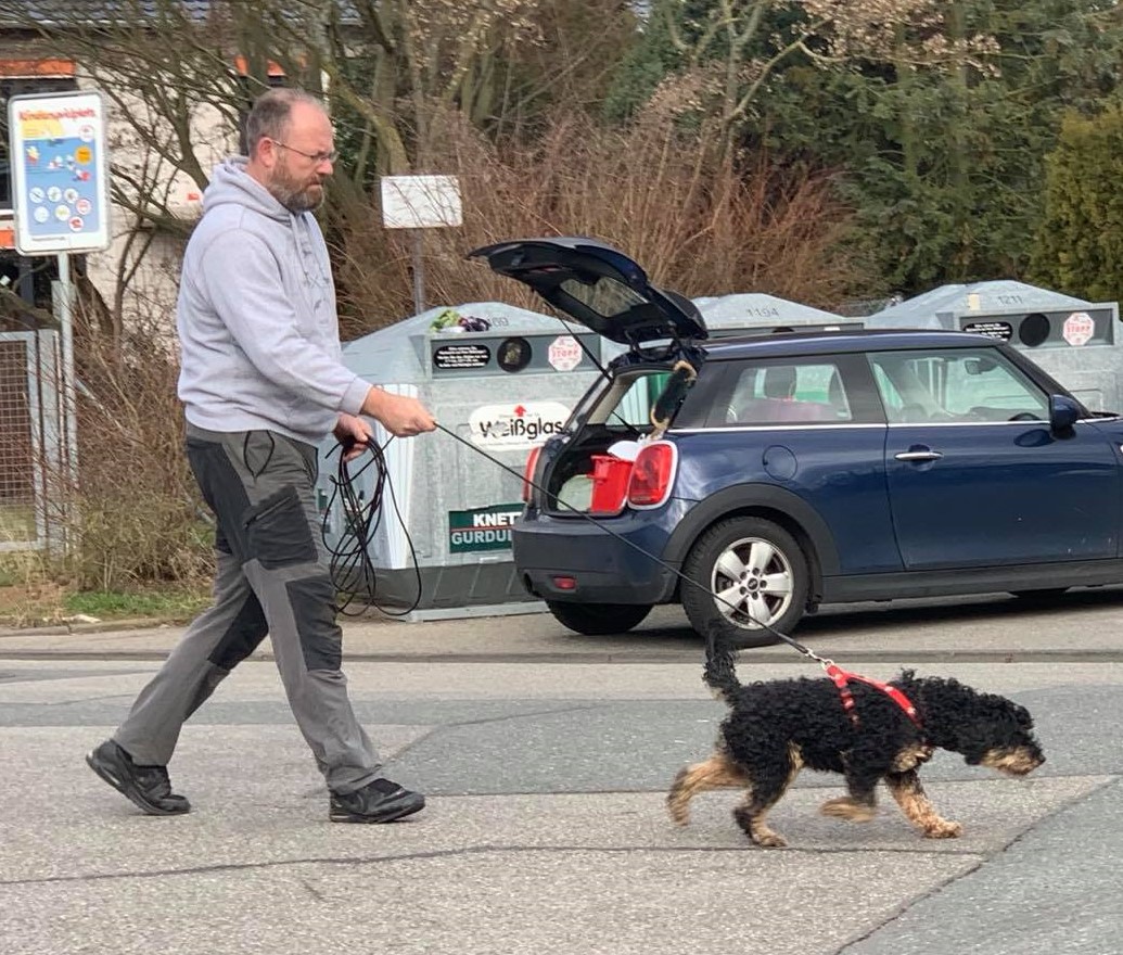 Spürhund-Training