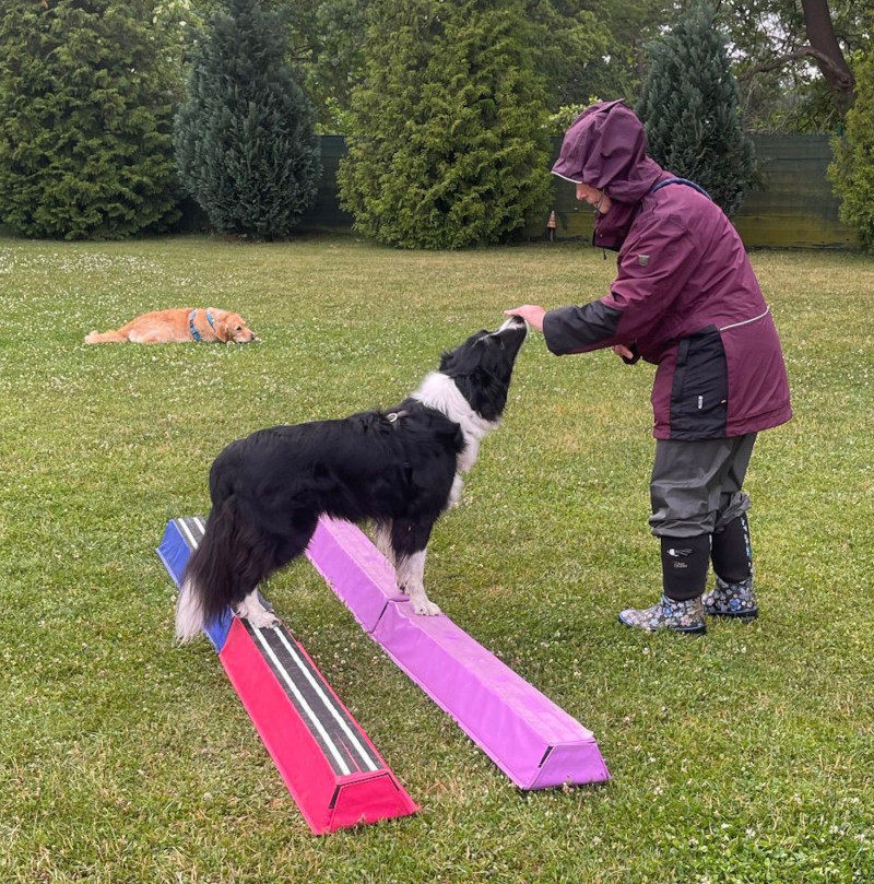 Balance3d