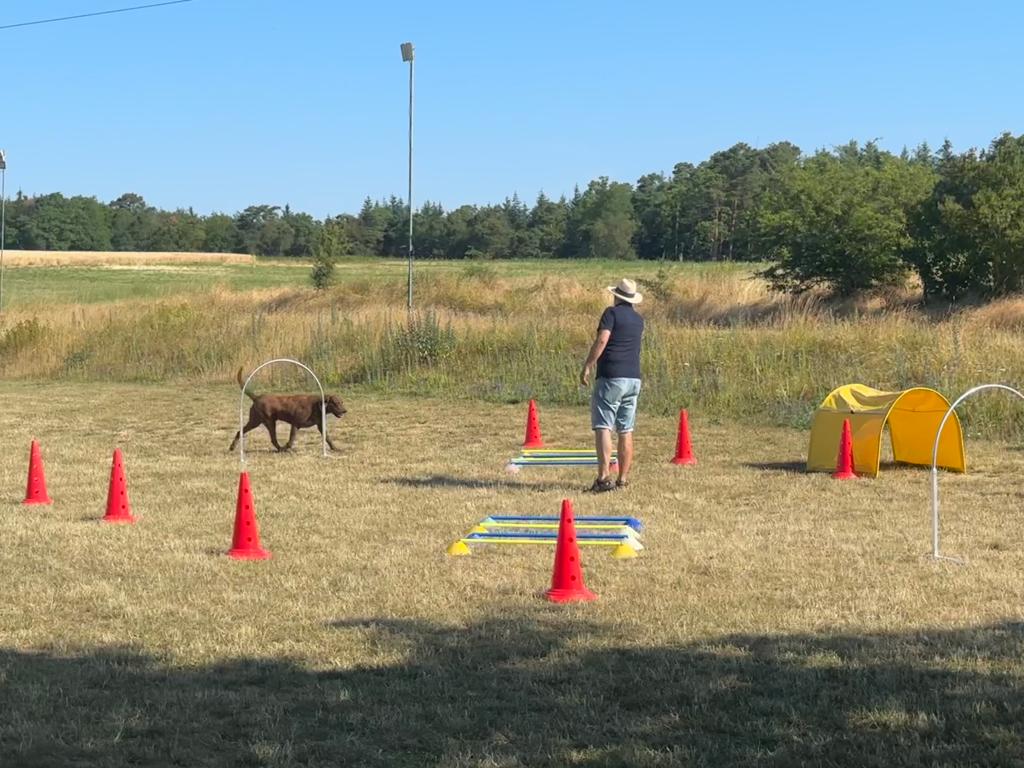 Hundeschule in Frankfurt & Darmstadt