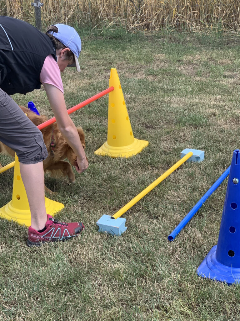 Cavaletti Trainerfortbildung