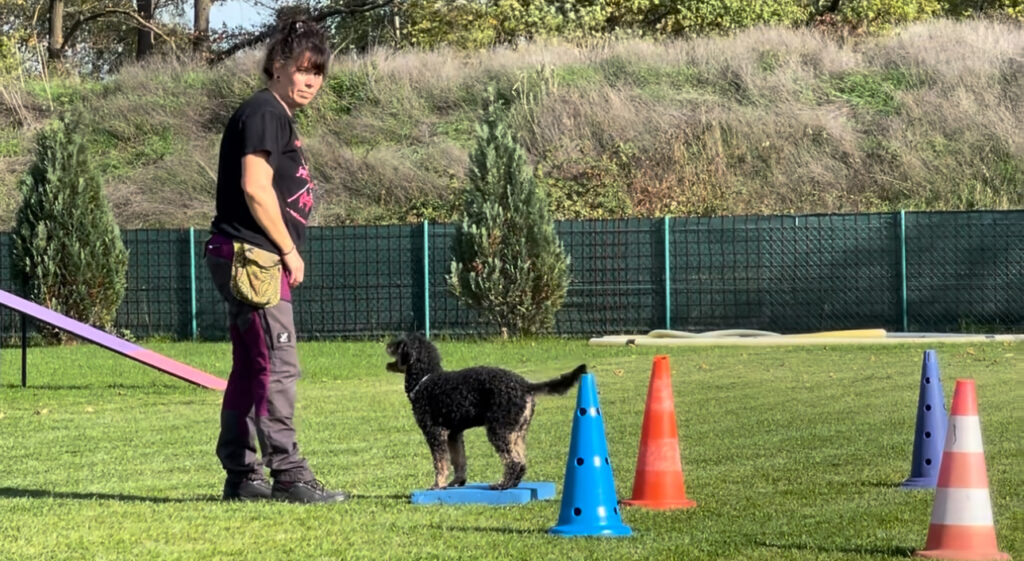 Longieren Trainerfortbildung