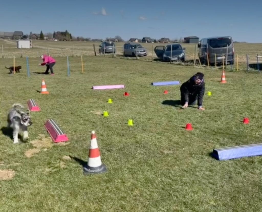 Longieren Trainerfortbildung