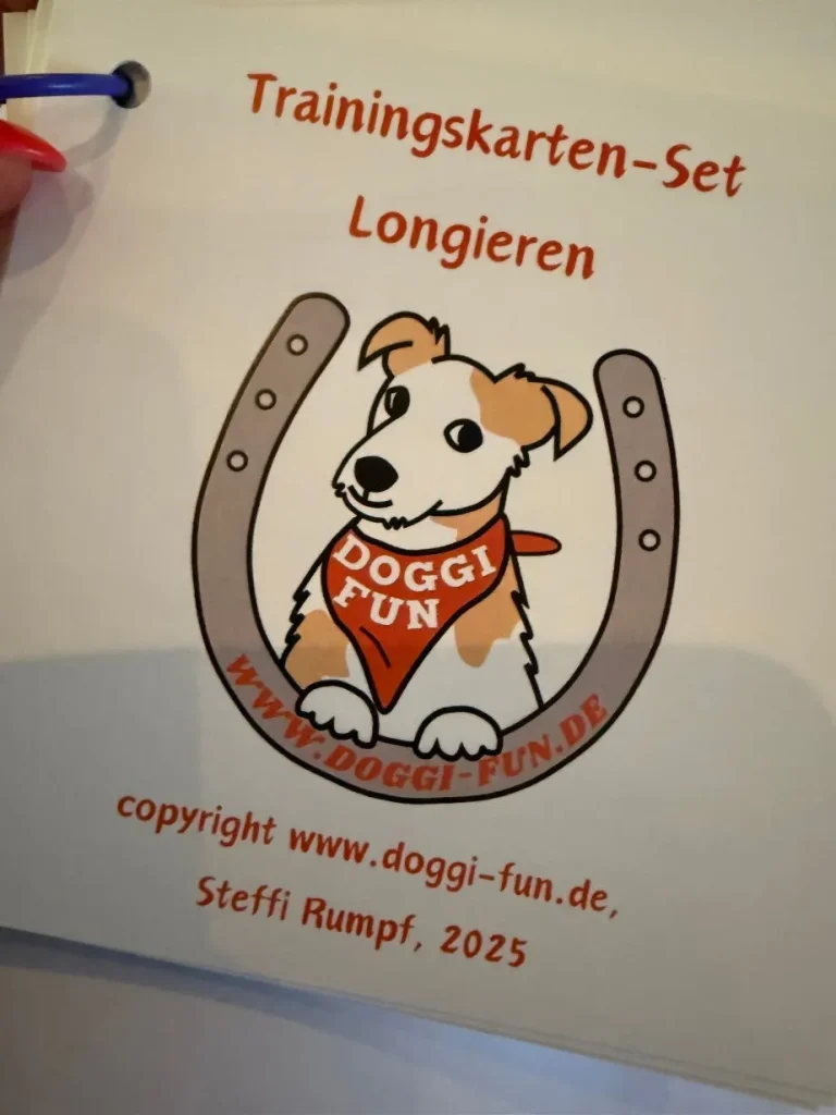 Hundeschule in Frankfurt & Darmstadt