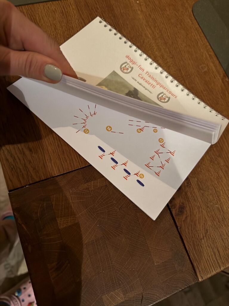 Hundeschule in Frankfurt & Darmstadt